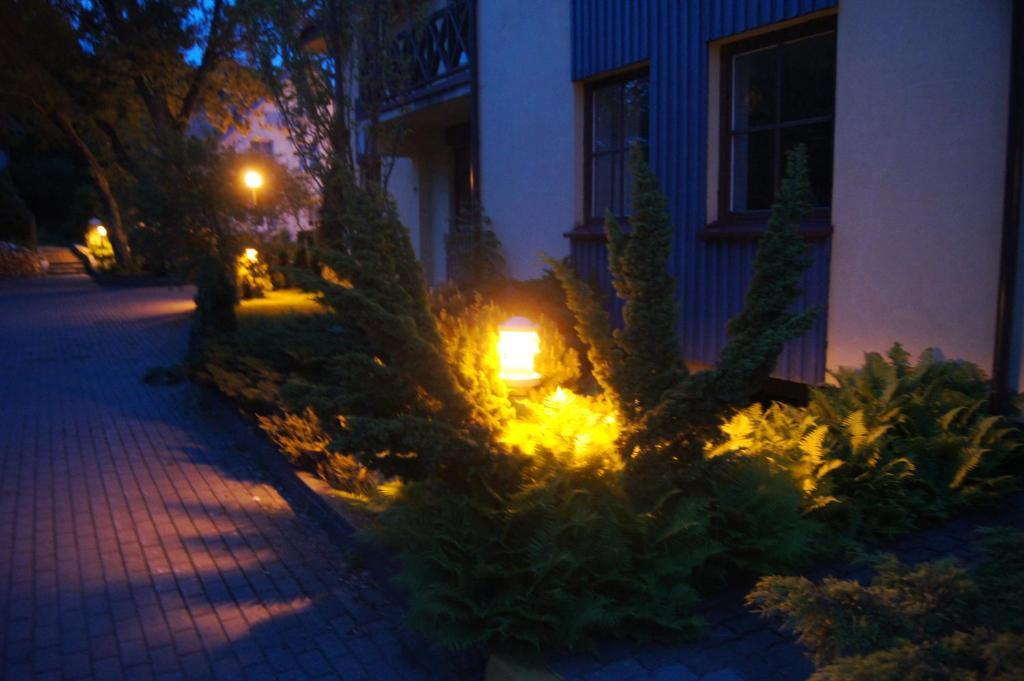 Guest House Vasara Nida Pokoj fotografie